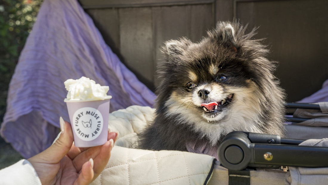 @misslunadotpom enjoying Sip N Glam's pupcup at the furry muse event
